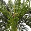 HomeStock  3 ft. Artificial Cycas Tree in Planter for Indoor/Outdoor - 3 of 4