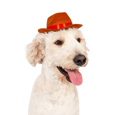 Midlee Cowboy Hat Dog Headband Halloween Costume- Large - image 1 of 4