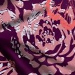 dark berry butterfly bloom