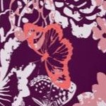 dark berry butterfly bloom