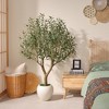 Dr.Planzen 6ft Artificial Olive Tree in White Planter - Faux Olive Tree for Indoor/Outdoor D¨¦cor, Fake Plant with Realistic Green Branches - 4 of 4