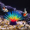 Unique Bargains Aquarium Glowing Silicone Artificial Coral Plant - image 2 of 4