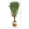 Nearly Natural 70-in Variegated Ficus Artificial Tree in Handmade Natural Jute and Cotton Planter UV Resistant (Indoor/Outdoor) - 2 of 4