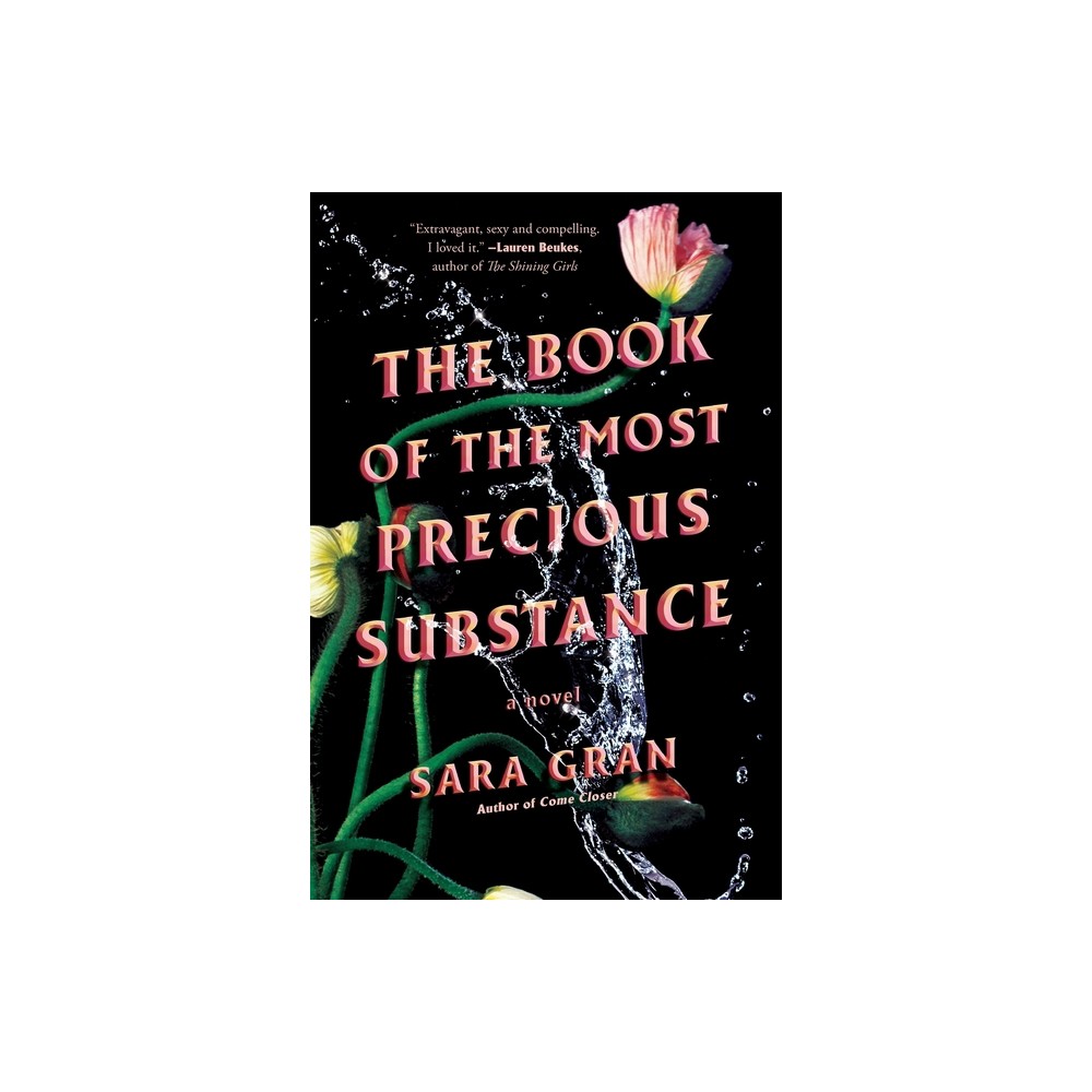 The Book of the Most Precious Substance - by Sara Gran (Paperback)