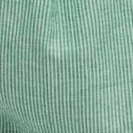 tropical green stripe