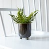 Footed Planter Blue Porcelain - 2 of 4