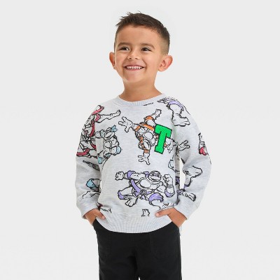 Image of Toddler Boys' Teenage Mutant Ninja Turtles Chenille Patch Fleece Pullover - Gray 3T