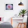 Stupell Industries Dew Kissed Pink Chrysanthemum Framed Print Under Glass - 3 of 4