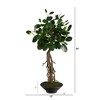 Nearly Natural 2-ft Ficus Bonsai Artificial Tree in Decorative Planter - 2 of 4