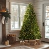 National Tree Company 4.5' Pre-Lit Dunhill Fir Hinged Artificial Christmas Tree with Clear Lights - 2 of 4