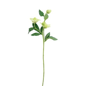 Allstate Floral 22" Helleborus Molly's Artificial Silk Floral Spray - 1 of 4