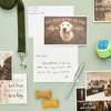 Best Paper Greetings 36 Pack Blank Motivational Greeting Cards with Dogs and Inspirational Quotes, Envelopes, 4x6 Inches - 2 of 4