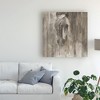 Trademark Fine Art -Albena Hristova 'Shadow Light Gray Horse' Canvas Art - 3 of 4