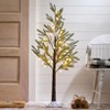The Lakeside Collection Lighted Holiday Trees - 48"H - 4 of 4