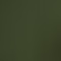 Dark Olive Green