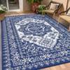 Outdoor Vintage Lightweight Plastic Straw Rug Erasable Stain Resistant Large Area Rugs for Camping Garden Backyard Picnic Reversible Portable Carpet - 4 of 4