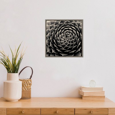 Black and White Succulent Framed Canvas Wall Art, 20" x 19"