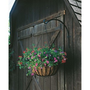 Panacea Black Iron 16 in. H Curved Plant Hook 1 pk - 1 of 1