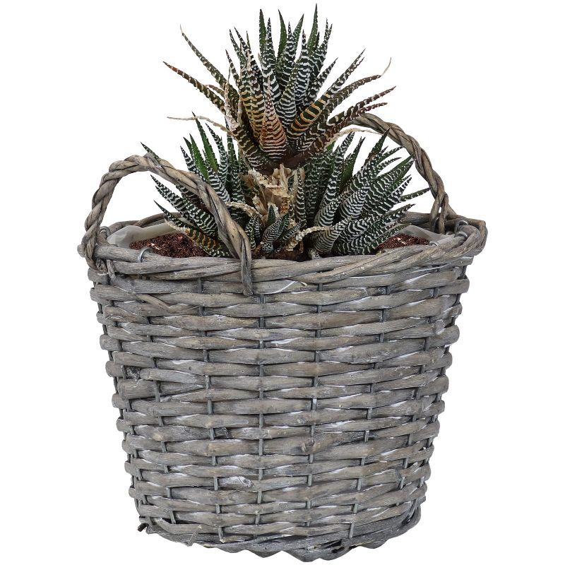 Sunnydaze Gray Willow Wicker Planter Baskets with Handles and Plastic Lining - Set of 5, 5 of 11