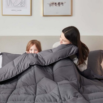 Gray Twin Microfiber All-Season Duvet for Adults