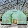 10'X6.5'X20' Walk-in Greenhouse Backyard Grow Tents Steel Frame 8 Windows - 3 of 4