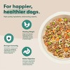 Jinx Homestyle Wet Dog Food with Chicken Flavor - 9oz - 3 of 4
