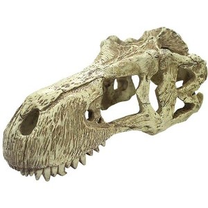 Multipet Komodo T-Rex Skull - XLarge - 1 of 1