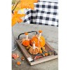 Gulches Series Multicolored Shatterproof Grid Pumpkin Harvest Festival Ornament - 4 of 4