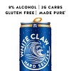 White Claw SURGE Hard Seltzer Variety Pack - 12pk/12 fl oz Slim Cans - 2 of 4