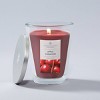 Jar Candle Apple Cinnamon - Home Scents by Chesapeake Bay Candle - image 3 of 4