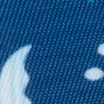 blue shark
