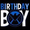 Boy's Marvel Birthday Boy Falcon Logo T-Shirt - image 2 of 4