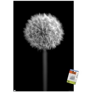 Trends International Tom Quartermaine - Black and White Dandelion Unframed Wall Poster Prints - 1 of 4