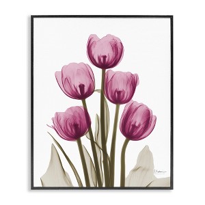 Stupell Industries Pink X-Ray Tulips Framed Giclee Art - 1 of 4