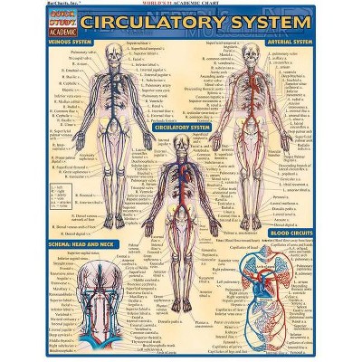 Circulatory System - (Quickstudy: Academic) by  Vincent Perez (Poster)