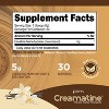 Perk Creamatine (French Vanilla) - 30 Servings, Flavored Creatine Monohydrate, 5g Creatine per Serving, Naturally Sweetened, Zero Sugar, Gluten-Free - 2 of 4