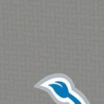 detroit lions
