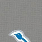 detroit lions