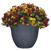 Classic Home and Garden Indoor/Outdoor Round Honeysuckle Resin Flower Pot Planter - 2 of 4