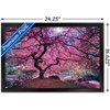 Trends International Pink Tree 2 by Moises Levy Framed Wall Poster Prints - 3 of 4