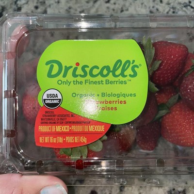 Organic Strawberries - 16oz : Target