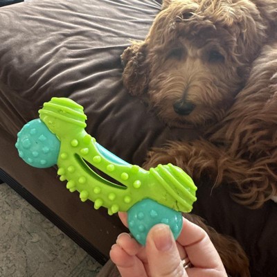 Arm & Hammer Nubbies Duality Bone Dental Dog Toy : Target