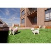 Dolonm 14-Panel Metal Garden Fence 24"H x 20.4"L - Rustproof, Moveable Pet Barrier for Yard, No Tools Needed - 2 of 4