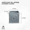 12.6" Kante Lightweight Classic Square English Style Lion Head Concrete Planter Antique Gray - Rosemead Home & Garden, Inc. - 3 of 4