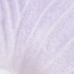 taro purple