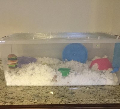 Guest review image 2 of 3, zoom in