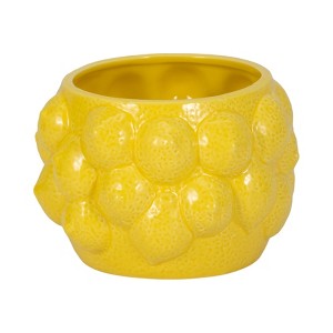 Ceramic Ceramic Planter - Textured Modern Flower Pot with Drainage - Indoor & Outdoor Decorative Plant Holder for Home & Garden - 5" Yellow - 1 of 4