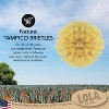 Lola Products The Original Tampico Vegetable Palm Brush w/Comfort Wood Knob, Sustainable Tampico Bristles, Renewable Birch Hardwood Handle, 1 Pack - 4 of 4
