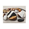 Trademark Fine Art Treechild Stone Collection Wood Slat Art - 3 of 4