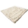 Paw Brands PupProtector Waterproof Dog Blanket - 2 of 4